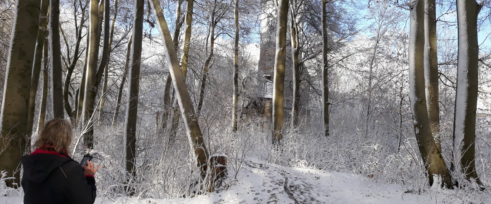 Winterlandschaft auf dem Moritzberg